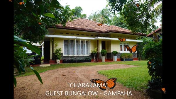 CHARAKAMA Guest Bungalow - GAMPAHA, Брондау Гостьхаус Minuwangoda Gampaha District