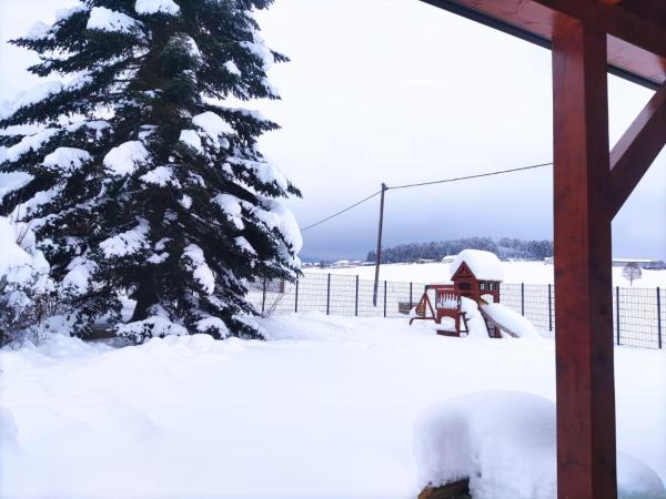 Ferienhaus am Hochficht Mühlviertel in Oberösterreich, Брондау Вилла Freundorf Upper Austria