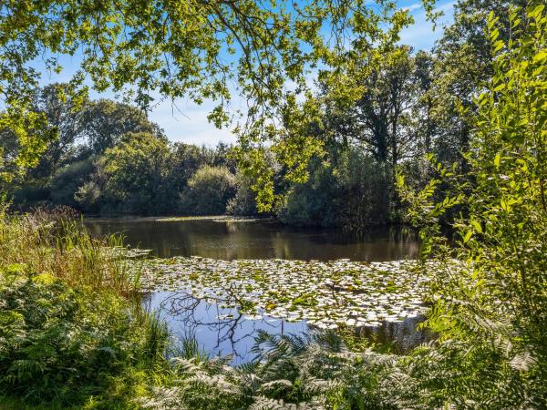 The Lodge At The Lake House, Брондау Демалыс үйі Ifold West Sussex