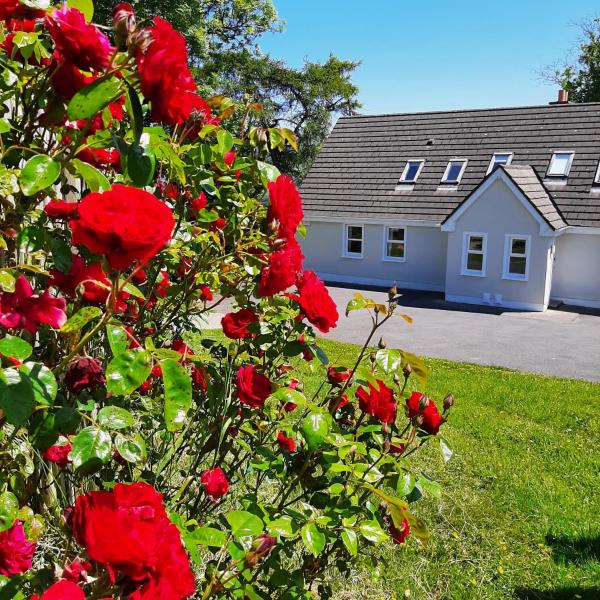 Abhainn Ri Cottages, Брондау Демалыс үйі Blessington Wicklow County