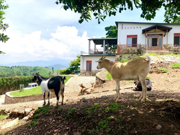 Amazi Land Home and Farm Stay, Брондау  Kibuye Gitsi