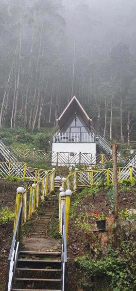 The Soul Of Vattavada, Брондау  Vattavada Kerala