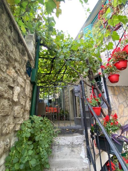 Ankora, Брондау  Omis Split Region