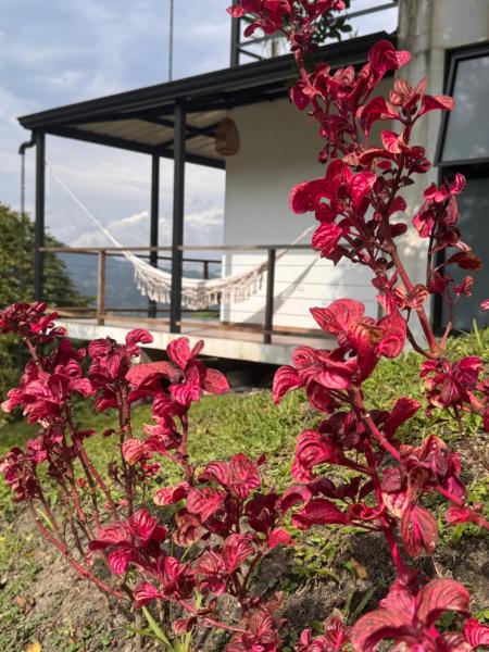 Cabañas Alondra, Брондау  Vergara Cundinamarca