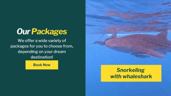 Whale shark private trip, Брондау  Sumbawa Besar Sumbawa