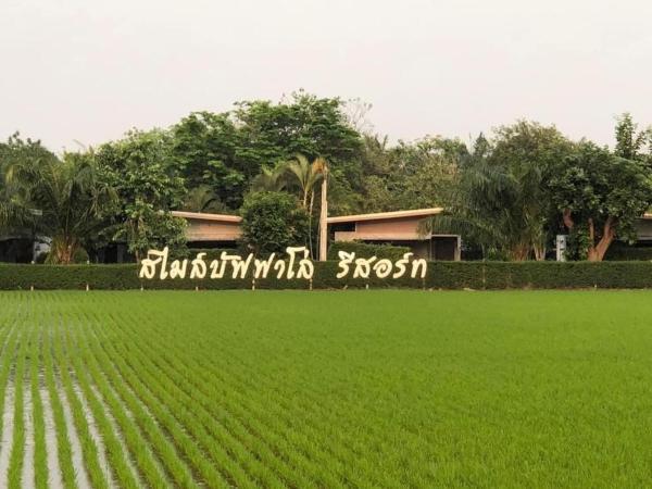 Smile Buffalo Resort สไมล์ รีสอร์ท, Брондау  Moo 2 Chai Nat