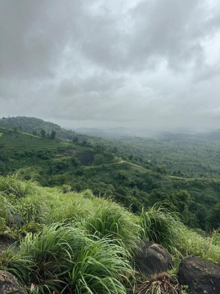 Banasura Wayanad, Брондау  Meenangadi Wayanad