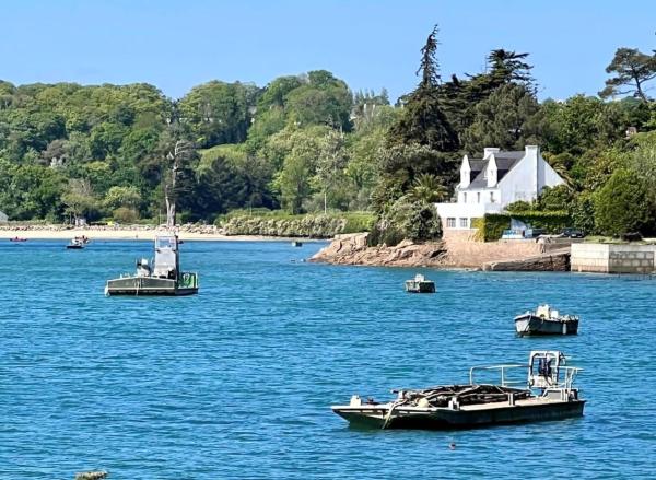 BB les pieds dans L\eau CARANTEC, Брондау  Карантек Finistère