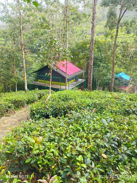 Organic Farmers Tent & Trekking, Брондау  Yedapalli Tamil Nadu