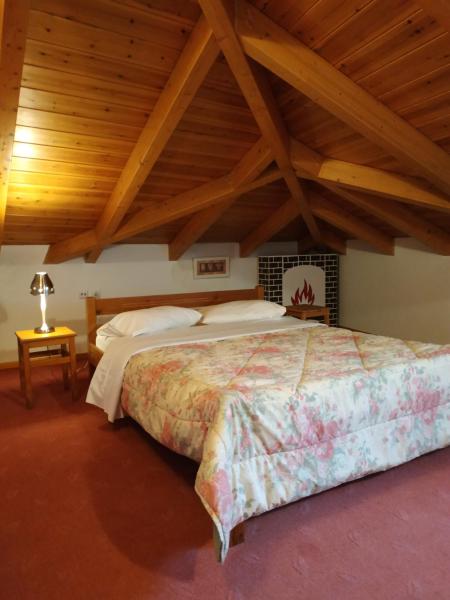 XENONAS MORFEAS, Брондау  Arachova 