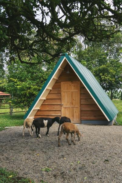 Musasana Wellness Farm, Брондау  Puerto Viejo Heredia
